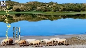 ᠮᠢᠨᠦ ᠠᠳᠤᠭᠤᠨ ᠰᠦᠷᠦᠭ -ᠣᠳᠣᠨᠪᠢᠮᠪᠠ Minii aduun süreg-UdunbyambaМиний адуун сүрэг-Удунбямба