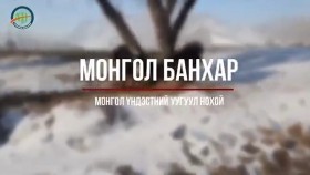 ᠮᠣᠩᠭᠣᠯ ᠪᠠᠩᠬᠤᠷ -ᠨᠣᠬᠠᠢ ᠶ᠋ᠢᠨ ᠡᠭᠦᠯᠳᠡᠷМонгол банхар  Mongolian Bankhar dog