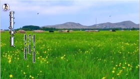 ᠪᠠᠶᠠᠰᠬᠤᠯᠠᠩ ᠲᠠᠢ ᠰᠠᠶ᠋ᠢᠬᠠᠨ- ᠰᠢᠯᠦᠭ᠄ ᠴ᠂ ᡀᠠᠭᠪᠠᠴᠡᠷᠢᠨ᠂ ᠠᠶ᠎ᠠ᠄ ᠳ᠂ ᠴᠡᠴᠡᠷᠯᠢᠭ᠂ᠳᠠᠭᠤᠴᠢᠨ᠄ ᠠ᠊᠂ ᠲᠦᠮᠡ‍ᠠᠦ᠌ᠯᠵᠠᠢ Баясгалантай сайхан- шүлэг᠄ Ц ᠊  Лхагвацэрэн᠂ ая᠄ Д ᠊ Цэцэрлэг᠂ дуучин᠄ А ᠊ Түмэнөлзий
