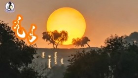 ᠨᠠᠷᠠᠨ ᠡᠵᠢ - ᠫᠣ· ᠥᠯᠵᠡᠢᠨᠠᠷᠠᠨ Наран ээж-Пү·Өлзийнаран