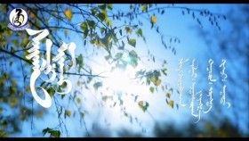ᠰᠠᠢᠬᠠᠨ ᠴᠢ ᠮᠢᠨᠢ -ᠤᠶᠠᠩᠭ᠎ᠠSaikhan chi mini-UyangaСайхан чи минь-Уянга