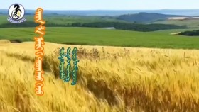 ᠲᠡᠷᠡ ᠨᠠᠮᠤᠷ ᠢ᠋ ᠳᠤᠷᠠᠰᠬᠤ ᠭᠡᠵᠦ- ᠠᠯᠲᠠᠨᠴᠡᠴᠡᠭТэр намарыг дурсх гэж-Алданцэцэг