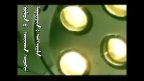 ᠬᠥᠮᠦᠨ ᠦ᠌ ᠰᠠᠢᠬᠠᠨ ᠰᠡᠳᠬᠢᠯ-ᠡᠩᠬᠡᠵᠤᠯᠠХүний сайхан сэтгэл