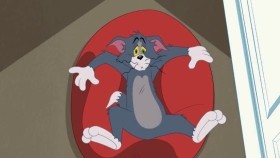 ᠲᠣᠮ ᠵᠧᠷᠷᠢ-ᠬᠥᠭᠵᠢᠯᠲᠡᠢ ᠠᠩᠭᠢ ᠡᠨᠳᠡ ᠪᠠᠶᠢᠨ᠎ᠠ!Том Жерри _ Хөгжилтэй Анги Энд Байна!