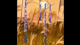 ᠲᠡᠮᠡᠭᠡ ᠲᠠᠢ ᠪᠠᠨ ᠢᠵᠢᠯ ᠵᠠᠶᠠᠭ᠎ᠠ ᠲᠠᠢ ᠭᠣᠪᠢ-ᠳ᠋ᠠᠰᠢᠵᠢᠷᠭᠠᠯТэмээтэйгээ ижил заяатай гови-ташжаргал
