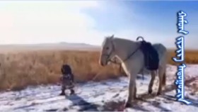 ᠬᠠᠮᠤᠭ ᠵᠢᠵᠢᠭ ᠠᠳᠤᠭᠤᠴᠢᠨХамаг жижиг адуучин