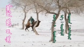 ᠮᠦᠩᠬᠥᠨ ᠡᠪᠣᠯ ᠦᠨ ᠠᠨᠢᠷ- ᠲᠡᠭᠰ᠍ᠢᠪᠠᠶᠠᠷМөнгөн өвлийн анир-тэгшбаяр