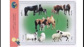 ᠲᠠᠪᠤᠨ ᠬᠣᠰᠢᠭᠤ ᠮᠠᠯ ᠊ᠤᠨ ᠬᠡᠰᠢᠭ ᠵᠢᠠᠨ ᠬᠤᠷᠤᠶ᠋ᠢᠯᠠᠶ᠎ᠠ   Таван хошуу малын хишигээ хурайлъя