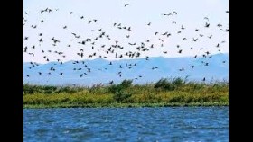 ᠴᠢᠯᠠᠭᠤ ᠲᠠᠪᠢᠨ- ᠤᠷᠠᠳ ᠠᠷᠠᠳ ᠤ᠋ᠨ ᠳᠠᠭᠤᠤЧулуу тавин-урд ардын дуу