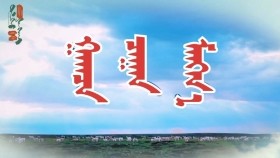 ᠭᠠᠭᠴᠠ ᠴᠠᠭᠠᠨ ᠮᠠᠩᠬ᠎ᠠ-ᠬᠠᠩᠬ᠎ᠠ ᠶ᠋ᠢᠨ ᠣᠷᠳᠣᠰ ᠠᠷᠠᠳ ᠤ᠋ᠨ ᠳᠠᠭᠤᠤ- ᠲᠡᠭᠦᠰᠬᠤᠸᠠᠷГагц цагаан манх-ханхын ордос ардын дуу-төгсхувр