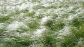 ᠠᠭᠢᠲᠤ ᠲᠣᠯᠣᠭᠠᠢ- ᠣᠷᠳᠣᠰ ᠠᠷᠠᠳ ᠤᠨ ᠳᠠᠭᠤᠤАгьт толгой-ордос ардын дуу