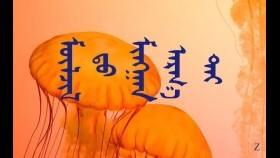 ᠮᠥᠯᠵᠢᠯ ᠳᠦ ᠮᠢᠩᠭᠠᠨ ᠠᠷᠭ᠎ᠠ ᠲᠠᠢ –  ᠬᠠᠰᠪᠠᠷᠰ Мөлжилд мянган аргатай – Хасбарс