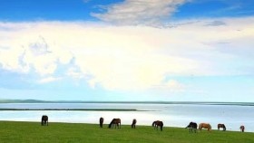 ᠬᠥᠯᠥᠨ ᠨᠠᠭᠤᠷ ᠮᠢᠨᠢ  -  ᠦᠭᠡ ᠄ ᠴᠦᠯᠲᠦᠮ   ᠂  ᠠᠶ᠎ᠠ ᠄ ᠳᠦ‍ · ᠳᠦᠭᠦᠷ  Хөлөн нуур минь - Үг ᠄ Цөлдөм ᠂ Ая ᠄ Д  · Дүгүр