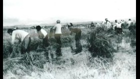 ᠬᠠᠲᠤᠯᠠᠩᠴᠢᠳ – ᠦᠭᠡ  ᠂ ᠠᠶ᠎ᠠ ᠄ ᠳᠦ‍ ᠂ ᠳᠦᠭᠦᠷ  Хадланчид  - Үг ᠂ Ая ᠄ Д ᠂ Дүгүр