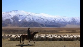 ᠬᠣᠨᠢᠴᠢᠨ ᠭᠤᠸᠠᠢ ᠮᠢᠨᠢ ᠶᠠᠭᠠᠬᠢᠯ᠎ᠠ ᠳ᠋ᠠ （ ᠣᠷᠱᠤᠨ ᠭᠣᠣᠯ ） -  ᠦᠭᠡ ᠄ ᠦ‍ · ᠸᠴᠢᠷᠲᠤᠷᠵᠢ  ᠂ ᠠᠶ᠎ᠠ ᠄  ᠳᠦ‍ ᠂ ᠳᠦᠭᠦᠷ   Хоньчин гуай минь яал даа - Үг ᠄ Ө  · Очирдорж ᠂ ая ᠄ Д ·  Дүгүр