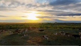 ᠪᠠᠶᠠᠨ ᠪᠠᠷᠭᠤ ᠨᠤᠲᠤᠭ （ ᠣᠷᠱᠤᠨ ᠭᠣᠣᠯ ）–  ᠦᠭᠡ ᠄ ᠠ‍ · ᠪᠠᠲᠦᠮᠥᠩᠬᠡ  ᠂ ᠠᠶ᠎ᠠ ᠄ ᠠ‍ · ᠰᠦᠰᠦᠯ   Баян барга нутаг （ оршин гол ） – Үг ᠄ А · Батмөнх , Ая ᠄ А · Сөсөл