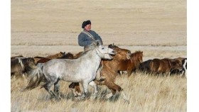 ᠠᠲᠤᠭᠤᠴᠢᠨ（ ᠣᠷᠱᠤᠨ ᠭᠣᠣᠯ ） –  ᠦᠭᠡ ᠄ ᠦ‍ ᠂ ᠮᠠᠵᠢᠬᠵᠠᠪ  ᠂ ᠠᠶ᠎ᠠ ᠄ ᠡ‍ ᠂ ᠪᠠᠲᠦᠪᠠᠶᠠᠷ   Адуучин （ Оршин гол ）– Үг ᠄ Ө ᠂ Мажигжав ᠂ Ая ᠄ Э ᠂ Батбаяр