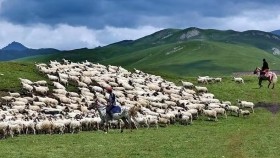  ᠮᠠᠯᠴᠢᠨ ᠵᠠᠯᠠᠭᠤ（ ᠣᠷᠱᠤᠨ ᠭᠣᠣᠯ ） – ᠦᠭᠡ ᠂ ᠠᠶ᠎ᠠ ᠄  ᠡ‍ · ᠪᠠᠲᠤᠪᠠᠶᠠᠷ  Малчин залуу （ Оршин гол ）– Үг ᠂ Ая ᠄ Э ᠂ Батбаяр