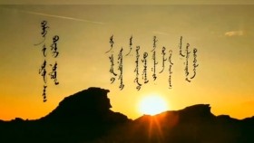 ᠪᠤᠮᠪᠠ ᠶᠢᠨ ᠣᠷᠣᠨ ᠰᠢᠭ᠋ ᠪᠤᠳᠠᠷ ᠨᠤᠲᠤᠭ- ᠬᠦᠷᠡᠯᠪᠠᠭᠠᠲᠦᠷ ᠤᠨ ᠪᠦᠬᠡᠪᠢᠯᠢᠭБумбын орон шиг бутар нутаг-Хүрэлбаатарын бөхбилэг