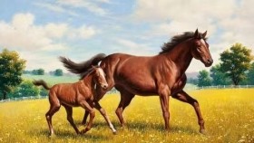 ᠮᠣᠷᠢ ᠮᠢᠨᠢ  ( ᠣᠷᠱᠤᠨ ᠭᠣᠣᠯ ） - ᠦᠭᠡ ᠄ ᠸᠴᠢᠷᠲᠤᠷᠵᠢ ᠂ ᠠᠶ᠎ᠠ ᠄ ᠨᠡᠮᠡᠬᠦ   Морь минь ( Оршин гол ） – Үг ᠄ Очирдорж ᠂ Ая ᠄ Нэмэх