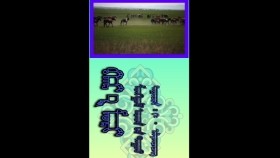 ᠬᠠᠷ᠎ᠠ ᠮᠣᠷᠢ- ᠮᠣᠩᠭᠣᠯ ᠠᠷᠠᠳ ᠤ᠋ᠨ ᠳᠠᠭᠤᠤ- ᠭ᠌· ᠠᠯᠲᠠᠨᠴᠡᠴᠡᠭХар морь-монгол ардын дуу-г· алданцэцэг