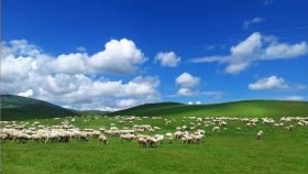 ᠮᠠᠩᠨᠤᠭ ᠲᠠᠯ᠎ᠠ ᠶ᠋ᠢᠨ ᠴᠢᠮᠡᠭ  ( ᠣᠷᠱᠤᠨ ᠭᠣᠣᠯ ) - ᠦᠭᠡ  ᠂ ᠠᠶ᠎ᠠ ᠄ ᠰᠠᠶ᠋ᠢᠨᠴᠤᠭᠲᠤ  Магнаг талын чимэг ( Оршин гол ） – Үг  ᠂ Ая ᠄ Сайнцогт