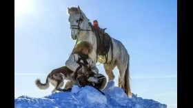 ᠡᠷ᠎ᠡ ᠬᠥᠮᠦᠨ ᠪ ᠵᠢᠯᠣᠭᠣ ᠤᠷᠲᠤ  ( ᠣᠷᠱᠤᠨ ᠭᠣᠣᠯ ) - ᠦᠭᠡ : ᠠ‍ · ᠣᠷᠲᠤᠨᠠᠰᠤᠨ ᠂ ᠠᠶ᠎ᠠ ᠄ ᠰᠠᠶ᠋ᠢᠨᠴᠤᠭᠲᠤ  Эр хүний жолоо урт    ( Оршин гол ） – Үг : А · Уртнасан᠂ Ая ᠄ Сайнцогт