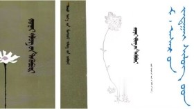 ᠠᠳᠤᠭᠤᠴᠢᠨ ᠪᠦᠷᠭᠦᠳ  -  ᠮ ᠂  ᠠᠰᠠᠷ     Адуучин бүргэд  -  М ᠂ Асар