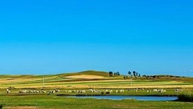 ᠦᠯᠢᠭᠡᠷ ᠰᠢᠭ᠌ ᠦᠨᠡᠨ ᠪ ᠨᠤᠳᠤᠭ   -  ᠲ ᠂ ᠬᠥᠬᠡᠤ᠋ᠴᠢ   Үлгэр шиг үнэний нутаг - Т ᠂ Хөхоч