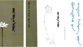 ᠭᠡᠷᠡᠯ ᠳ᠋ᠦ᠍ ᠲᠡᠮᠡᠦᠯᠦᠭᠴᠢᠳ - ᠪᠥᠬᠡᠳᠡᠯᠭᠡᠷ  Гэрэлд тэмүүлэгчид - Бөхдэлгэр