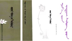 ᠨᠢᠮ᠎ᠠ ᠶᠢᠨ ᠵᠠᠳᠠᠭᠠᠢ ᠰᠢᠯᠦᠭ ᠦᠳ - 2  Нямын задгай шүлгүүд - 2 