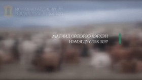 ᠮᠠᠯᠴᠢᠳ ᠣᠷᠣᠯᠭ᠎ᠠ ᠢᠶᠠᠨ ᠬᠡᠷᠬᠢᠨ ᠨᠡᠮᠡᠭᠳᠡᠭᠦᠯᠬᠦ ᠪᠣᠢ?Малчид орлогоо хэрхэн нэмэгдүүлэх бэ