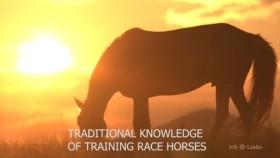 ᠬᠤᠷᠳᠤᠨ ᠮᠣᠷᠢ ᠰᠣᠢᠬᠤ᠂ ᠤᠷᠤᠯᠳᠤᠭᠤᠯᠬᠤ ᠮᠡᠳᠡᠯᠭᠡХурдан морь сойх, уралдуулах мэдлэг