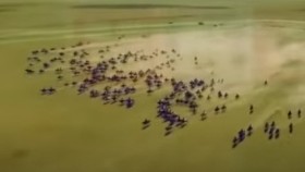 ᠭᠤᠷᠪᠠᠨ ᠰᠠᠢᠬᠠᠨ ᠪᠣᠷᠣ-ᠣᠷᠳᠣᠰ ᠭᠦᠷᠦ ᠳᠠᠭᠤᠤ001Гураван сайхан бор