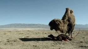 ᠢᠩᠭᠡ ᠪᠣᠢᠯᠠᠬᠤ ᠴᠠᠭ ᠢᠶᠠᠷИнгэ буйлах цагаар