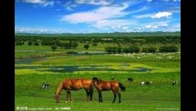 ᠬᠠᠷᠭᠠᠨ᠎ᠠ ᠶ᠋ᠢᠨ ᠲᠦᠮᠡᠨ ᠬᠡᠭᠡᠷ-ᠣᠷᠳᠣᠰ ᠭᠦᠷᠦ ᠳᠠᠭᠤᠤ004Харганын түмэн хээр