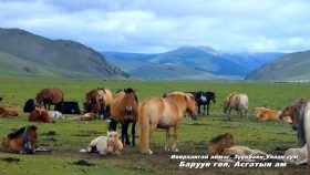 ᠥᠪᠦᠷᠬᠠᠩᠭᠠᠢ ᠠᠢᠮᠠᠭ ᠤᠨ ᠵᠡᠭᠦᠨᠪᠠᠶᠠᠨ-ᠤᠯᠠᠭᠠᠨ ᠰᠤᠮᠤ᠂ ᠠᠰᠬᠠᠲᠤ ᠶᠢᠨ ᠠᠮᠠӨвөрхангай аймгийн Зүүнбаян-Улаан сум, Асгатын ам
