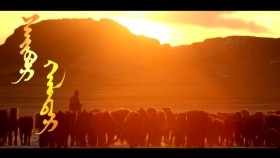 ᠰᠠᠢᠪᠤᠷ ᠬᠠᠯᠲᠠᠷ-ᠯ ᠨᠠᠷᠠᠨᠲᠤᠶᠠᠭ᠎ᠠСайвар халтар-Л нарантуяа