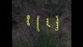 ᠪᠣᠷᠣ ᠲᠣᠬᠣᠢ ᠶ᠋ᠢᠨ ᠴᠡᠴᠡᠭБор тохойн цэцэг-ᠣᠷᠳᠣᠰ ᠠᠷᠠᠳ ᠤᠨ ᠳᠠᠭᠤᠤ27