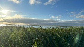 ᠵᠡᠭᠡᠰᠦᠲᠦ ᠬᠣᠭᠣᠯᠠᠢзэгст хоолой-ᠣᠷᠳᠣᠰ ᠠᠷᠠᠳ ᠤᠨ ᠳᠠᠭᠤᠤ36