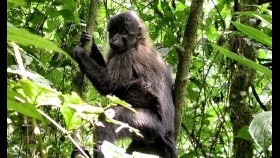 ᠪᠢᠴᠢᠬᠠᠨ ᠰᠠᠮᠵᠠ ᠠ᠋ᠴᠠ ᠴᠢᠨᠢ ᠬᠡᠳᠦᠢ ᠦᠯᠢᠭᠡᠷ ᠭᠠᠷᠬᠤ ᠪᠣᠢ-ᠮᠣᠩᠭᠣᠯ ᠬᠡᠪᠰᠢᠭᠰᠡᠨ ᠦᠭᠡ04