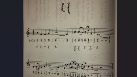 ᠬᠤᠨᠴᠢᠨ ᠭᠠᠯᠠᠭᠤᠬᠠᠢХунчин галуухай-ᠣᠷᠳᠤᠰ ᠠᠷᠠᠳ ᠤᠨ ᠳᠠᠭᠤᠤ