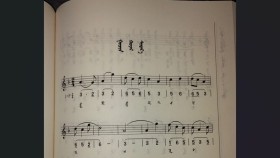 ᠭᠤᠴᠢᠨ ᠬᠣᠶᠠᠷ ᠰᠢᠲᠠᠷ᠎ᠠГучин хоёр шатар-ᠣᠷᠳᠤᠰ ᠠᠷᠠᠳ ᠤᠨ ᠳᠠᠭᠤᠤ