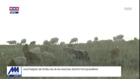 ᠮᠠᠯᠴᠢᠳ ᠤᠨ 28 ᠬᠤᠪᠢ ᠨᠢ 16-34 ᠨᠠᠰᠤᠨ ᠤ ᠵᠠᠯᠠᠭᠤᠴᠤᠳ ᠪᠠᠢᠨ᠎ᠠ Малчдын 28 хувь нь 16-34 насны залуучууд байна