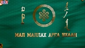 ᠮᠠᠯ ᠮᠠᠯᠯᠠᠬᠤ ᠠᠷᠭ᠎ᠠ ᠤᠬᠠᠭᠠᠨ ᠲᠥᠪ ᠠᠢᠮᠠᠭ ᠤᠨ ᠵᠠᠭᠤᠨᠠᠮ᠎ᠠ ᠳᠤ ᠰᠤᠮᠤ ᠶᠢᠨ ᠮᠠᠯᠴᠢᠨ ᠨ ∙ ᠴᠢᠮᠡᠳᠰᠡᠷᠡᠩМал маллах арга ухаан Төв аймгийн Зуунмод сумын малчин Н.Чимэдцэрэн