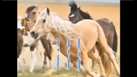 ᠮᠣᠷᠢ- ᠴᠢᠩ᠊· ᠬᠦᠰᠡᠯᠡᠩМорь-чин· хүслэн