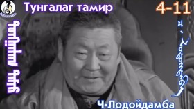 ᠲᠤᠩᠭᠠᠯᠠᠭ ᠲᠠᠮᠢᠷ4-11-ᠴ·ᠯᠤᠳᠤᠢ᠌ᠳᠠᠮᠪᠠТунгалаг тамир- ᠦᠵᠡᠵᠦ ᠰᠣᠨᠣᠰᠴᠤ ᠤᠩᠰᠢᠬᠤ ᠴᠠᠬᠢᠮ