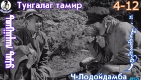 ᠲᠤᠩᠭᠠᠯᠠᠭ ᠲᠠᠮᠢᠷ4-12-ᠴ·ᠯᠤᠳᠤᠢ᠌ᠳᠠᠮᠪᠠТунгалаг тамир- ᠦᠵᠡᠵᠦ ᠰᠣᠨᠣᠰᠴᠤ ᠤᠩᠰᠢᠬᠤ ᠴᠠᠬᠢᠮ