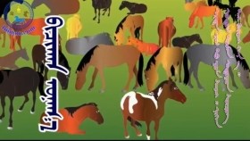 ᠪᠢᠴᠢᠬᠠᠨ ᠤᠨᠠᠭ᠎ᠠБяцхан унага