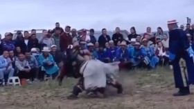 ᠭᠣᠶᠣ ᠪᠥᠬᠡГоё бөх